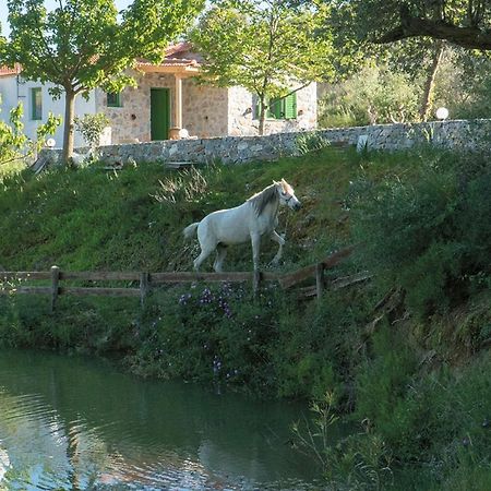 Villa Elia Lambini Екстер'єр фото