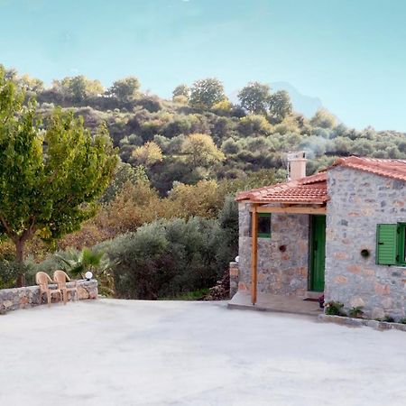 Villa Elia Lambini Екстер'єр фото
