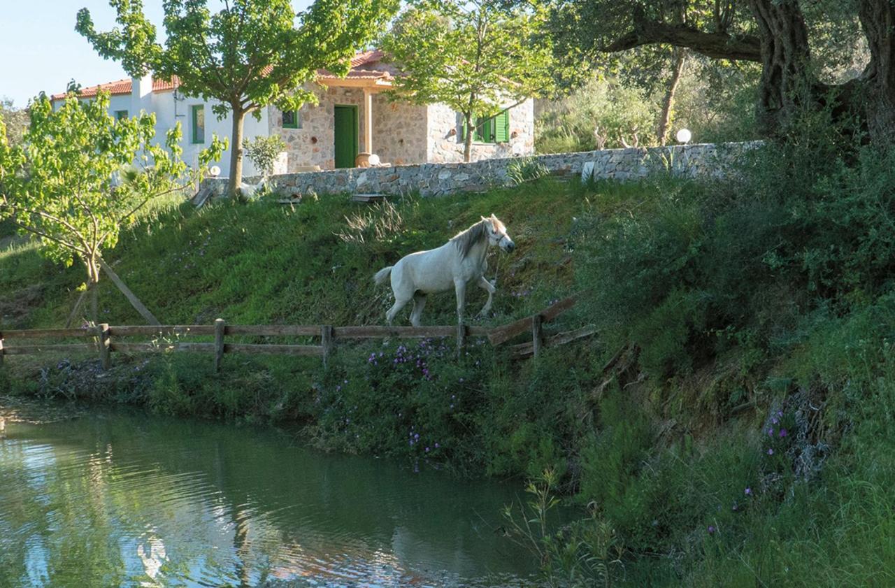 Villa Elia Lambini Екстер'єр фото