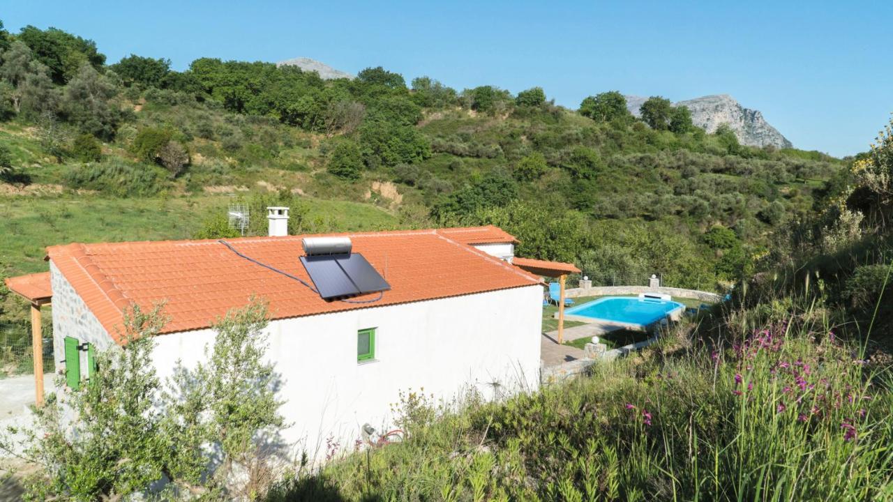 Villa Elia Lambini Екстер'єр фото