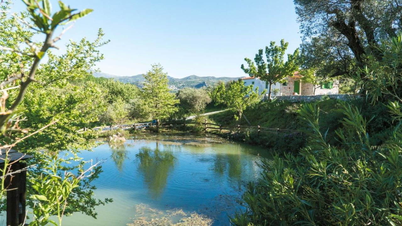Villa Elia Lambini Екстер'єр фото